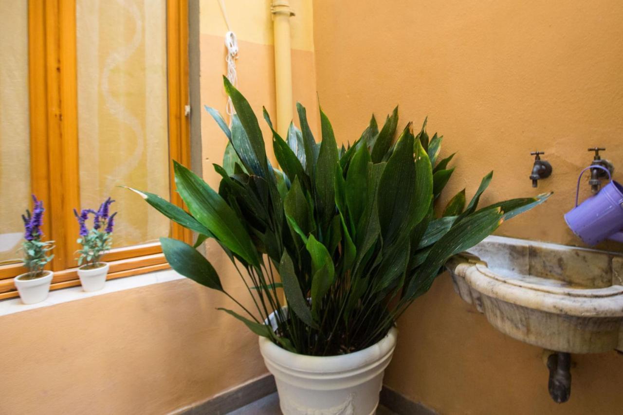 Charming Fiesolana Apartment In Heart Of Firenze Eksteriør bilde